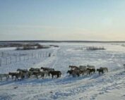 Yakutia