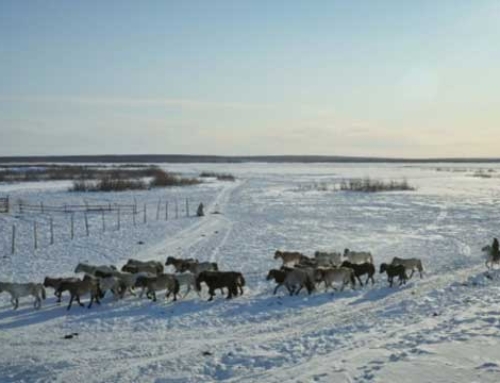 Yakutia: a region in Siberia with an astonishing story of a brave young girl