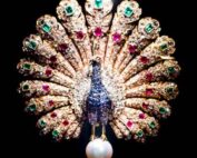Diva collection
